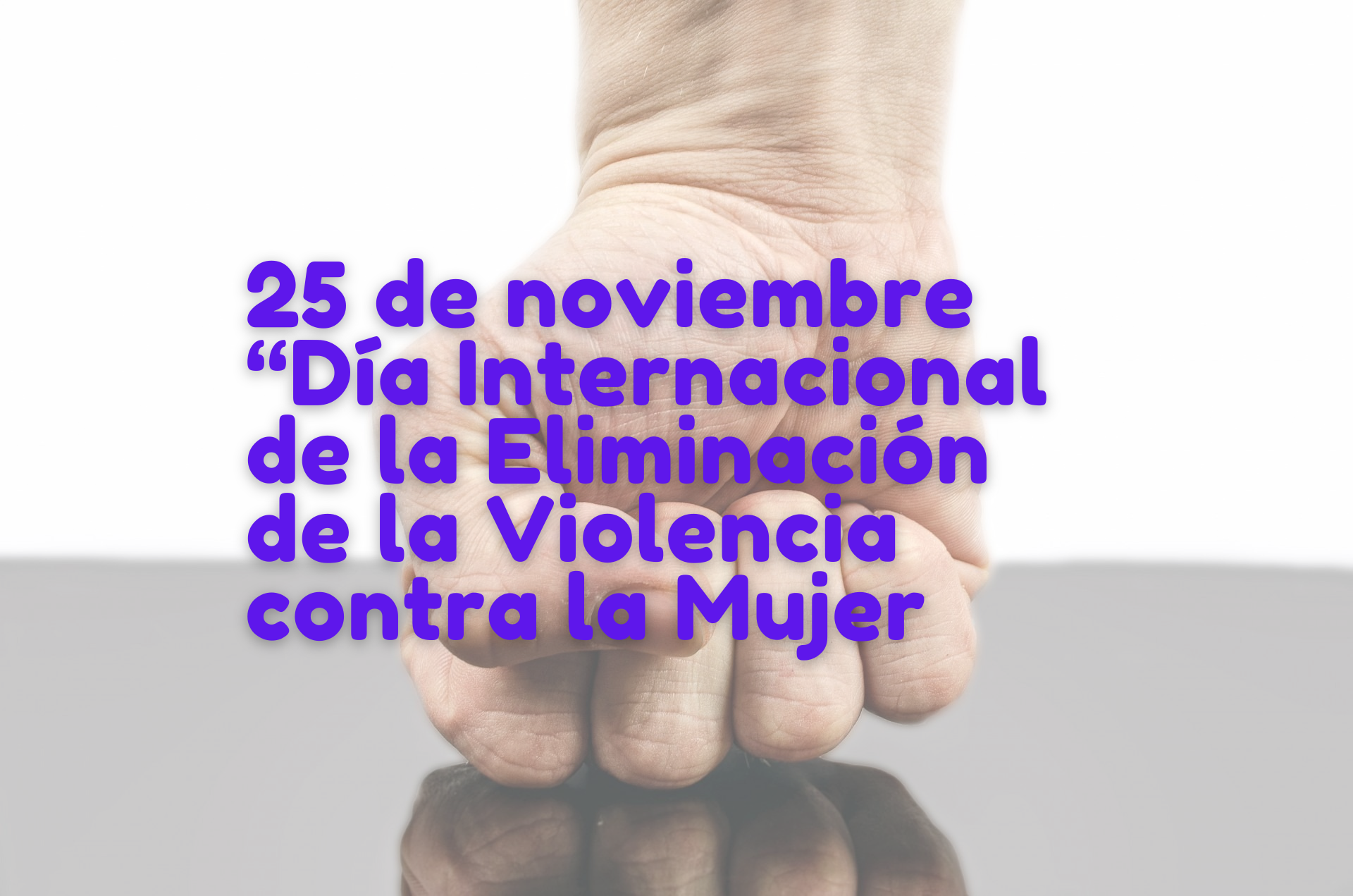 Lee más sobre el artículo 25 de noviembre, “Día Internacional de la Eliminación de la Violencia contra la Mujer”