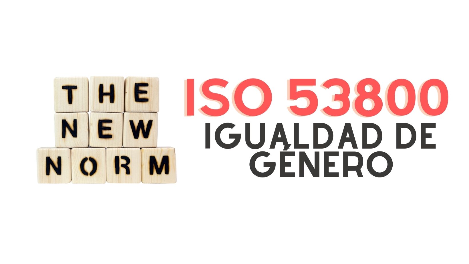 Lee más sobre el artículo LA ISO 53800 DE IGUALDAD DE GÉNERO CADA VEZ MÁS CERCA